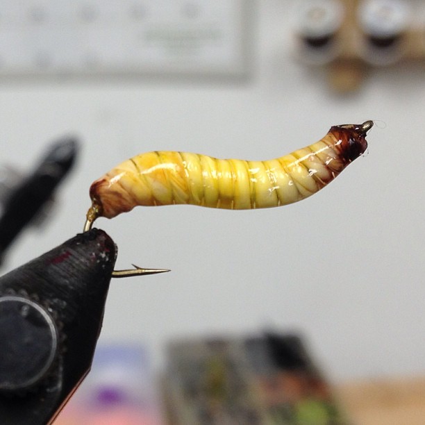 Mealworm Pattern Big Kype