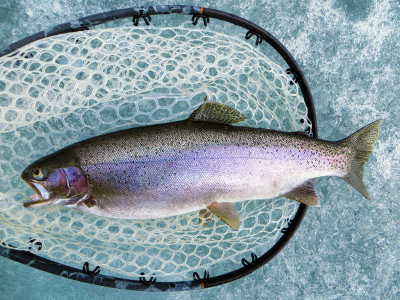 Fly Fishing Big Kype